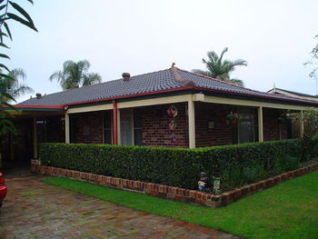 McAlpine001.jpg